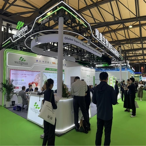Tiešraide CPHI Ķīnā: Wellgreen izceļ uzlaboto piegādi stendā E4B32